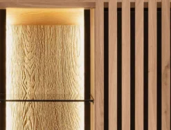 Ascona Vitrinenschrank Holz modern
