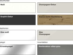 Denver Schwebetürschrank Glas