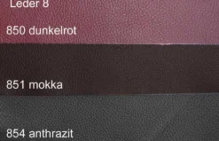 Dietsch Motion TV Sessel mit Relaxfunktion Leder und mehr