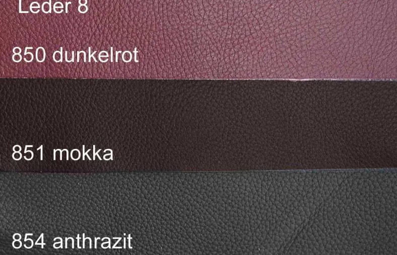 Dietsch Motion TV Sessel mit Relaxfunktion Leder und mehr