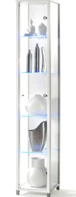 kleine Glasvitrine mit Beleuchtung