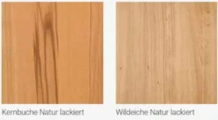 Memphis Stühle mit Holzbeinen