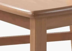Romeo Esszimmerstuhl Holz