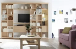 Solution Bücherregal mit Fernsehfach