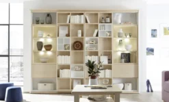 Solution Bücherregal mit Fernsehfach
