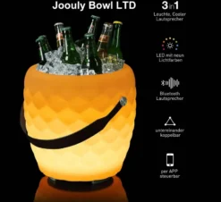 The Joouly Bowl