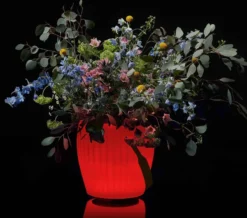 The Joouly Bowl