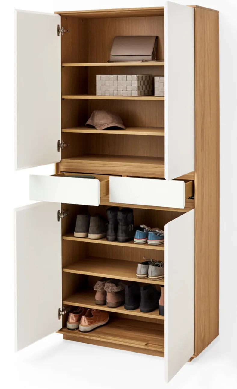 V100 Mehrzweckschrank