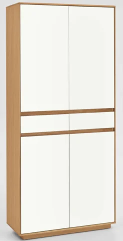 V100 Mehrzweckschrank