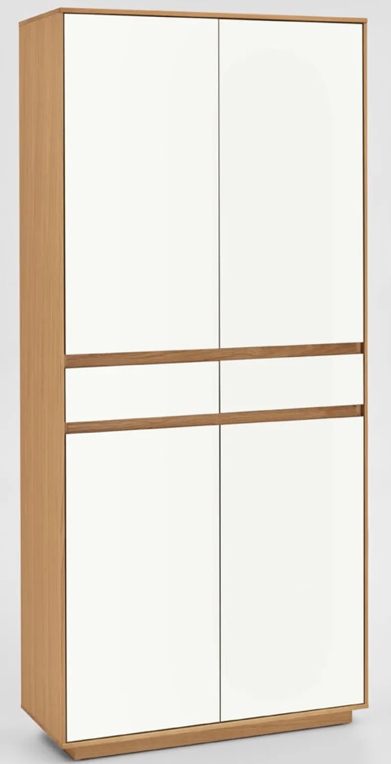 V100 Mehrzweckschrank